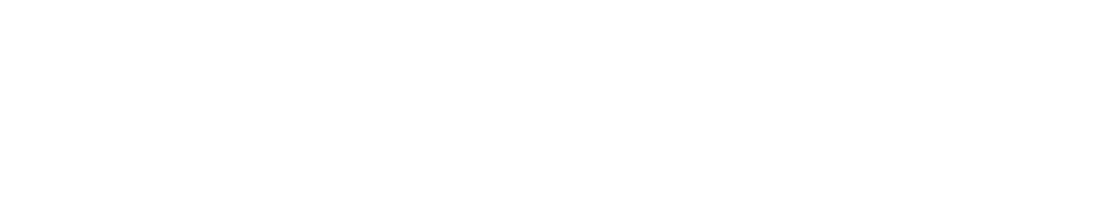 Evolution Games slot studio logo